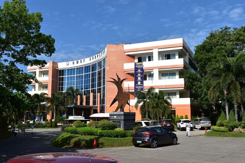 DMSF Campus Activities